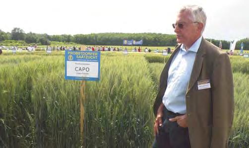 CAPO Pannonikus Element Der Kaiser der heimischen Weizensorten ist aufgrund seiner hervorragenden Ertrags - stabilität die Säule des Premiumweizenanbaues in Österreich.