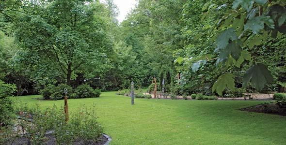 2574925 Vorbei an Beeten mit Hortensien und verschiedensten Hosta führt der Weg in den hinteren Garten. Der ca. 1.000 qm große, schmale Garten wird strukturiert von alten Obstbäumen.