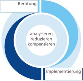 Carbon Management Services Unternehmen / Organisationen - Strategieberatung - CO 2 Bilanzen