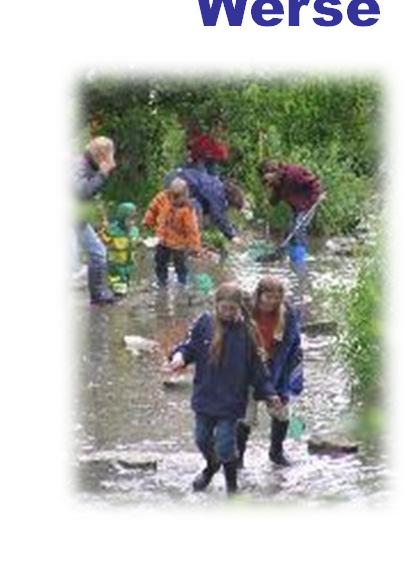 Ziele: Naturnahe Entwicklung, Hochwasserschutz in Beckum WRRL: guter ökologischer