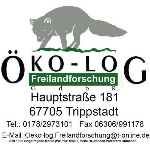 II Bauliche Änderungen Weststrecke Trier exempl. Untersuchung Tagfalter Impressum: ÖKO-LOG Freilandforschung, Trippstadt / Pfalz, 12.08.