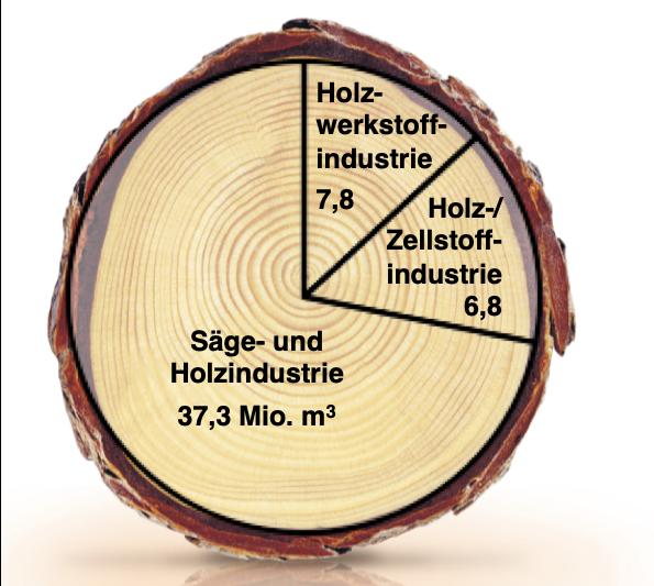 1. Einführung Kurzvorstellung Die Arbeitsgemeinschaft Rohholzverbraucher e.v....ist ein Zusammenschluss von Unternehmen und Verbänden der Rohholz verbrauchenden Branchen in Deutschland und den angrenzenden Ländern.