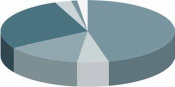 Anteilsgrößen an Zielfonds in Prozent 50 40 47,5 % 47,5 % 30 Portfoliostruktur (Stand 30.06.2006) 20 10 5 % Per 30.