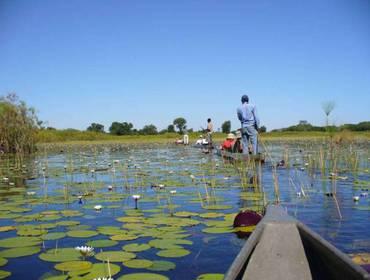 Reiseverlauf Verpflegung: F = Frühstück, L = Lunchpaket, M = Mittagessen, A = Abendessen 1. Tag: Ankunft im Okavango Delta Ankunft in Maun.