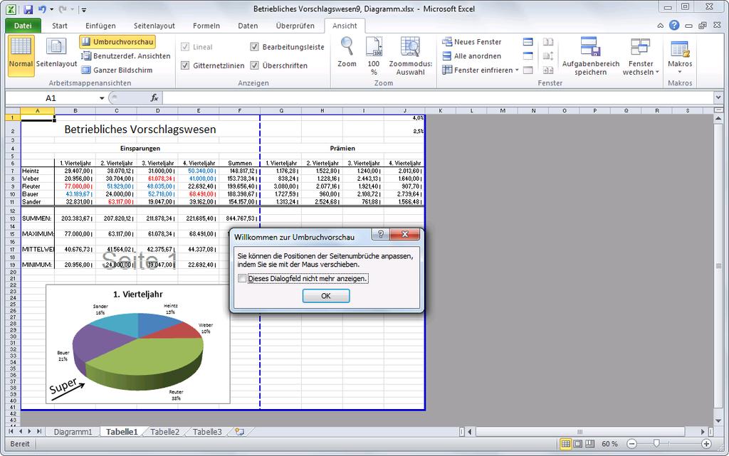 Mit der Seitenumbruchvorschau bietet Ihnen Excel einen weiteren Bildschirm-Modus.