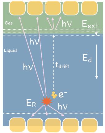 2-Phasen LXe-Experimente: Grundlagen Prinzip von LXe 2-Phasen-Detektoren: - Szintillationslicht: Nachweis über Photomultiplier (PMT in LXe) - Ionisationssignal: Drift der Elektronen über E-Feld zur