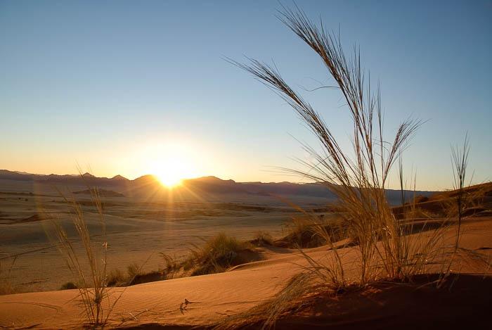 Tag 9-31.5.19 1 Übernachtung im Zelt im Namib Naukluft Park leichtes Mittagpicknik, Abendessen, ungewohnte Übernachtung und Frühstück Anmerkung: Die Dünen sind die Hauptattraktion Namibias.
