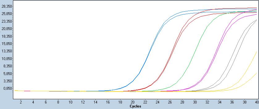 ID Gene TM Capripox Virus Triplex (Pan Capripox) Ausblick PCR FAM = Nachweis von Capripox Viren (bovine, ovine and caprine Feldstämme und Impfstämme) VIC = endogene interne Kontrolle (Validierung des