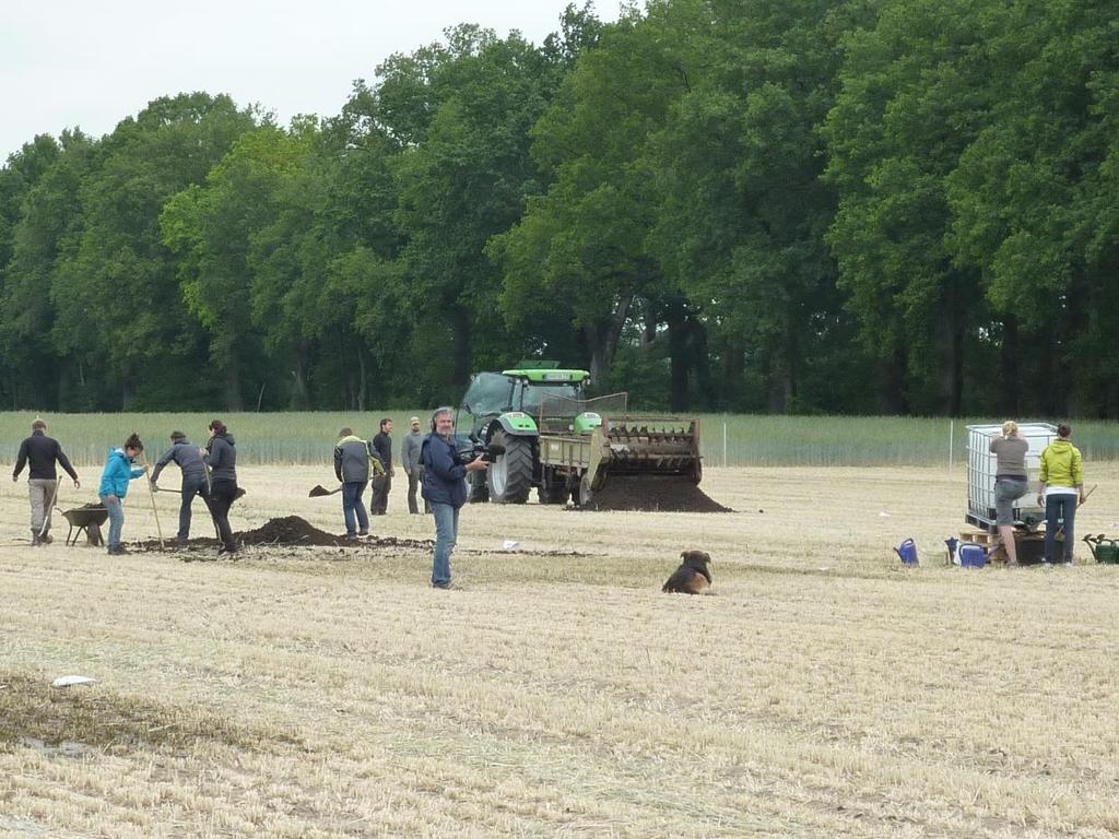 Praxisrezepte (Wendland 2012)