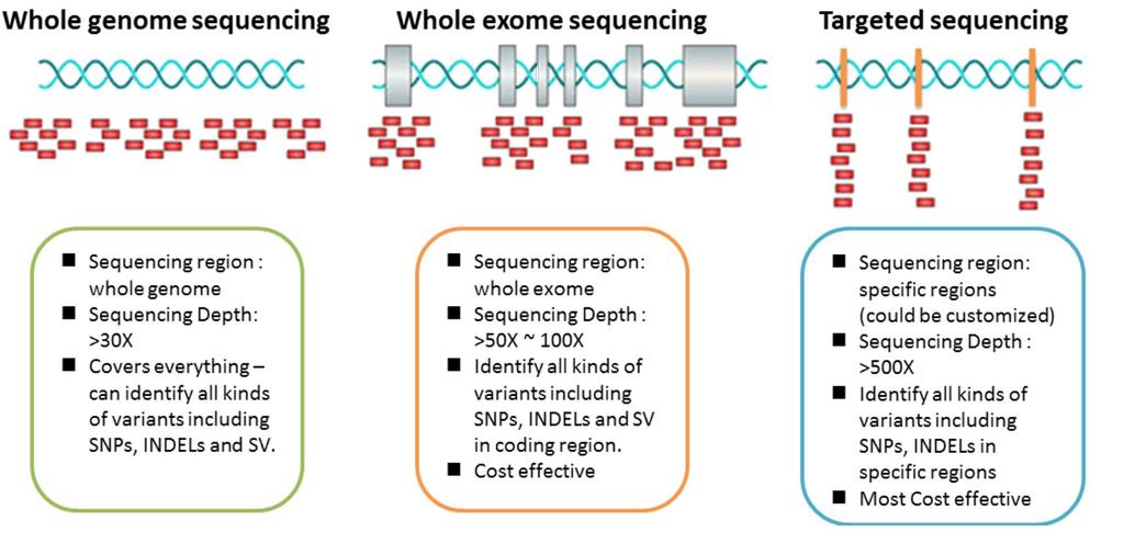 Whole Genome sequencing (WGS), Whole Exome