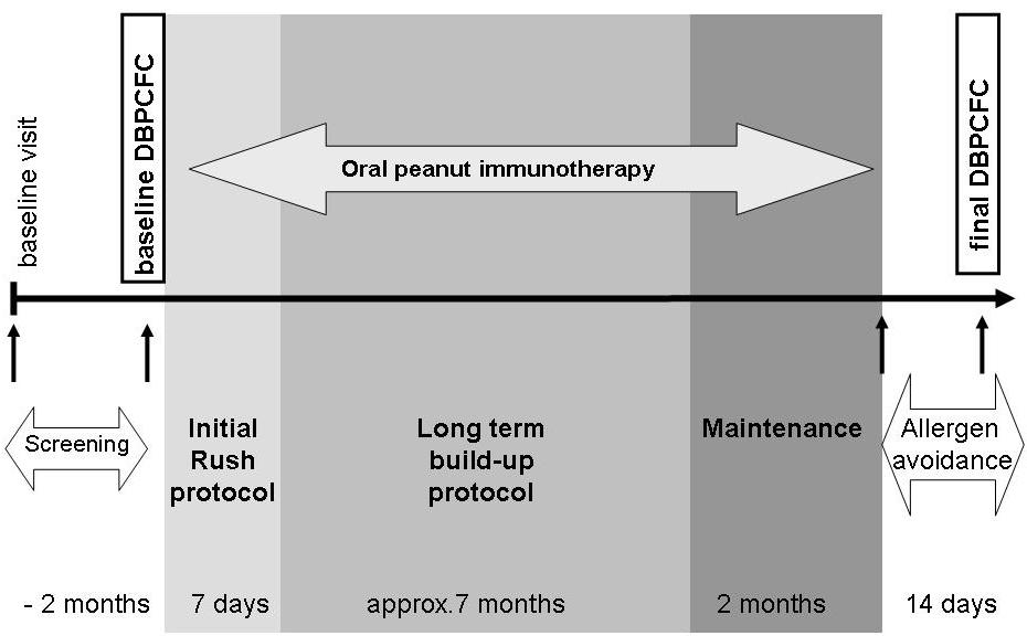 Oral Immunotherapy in