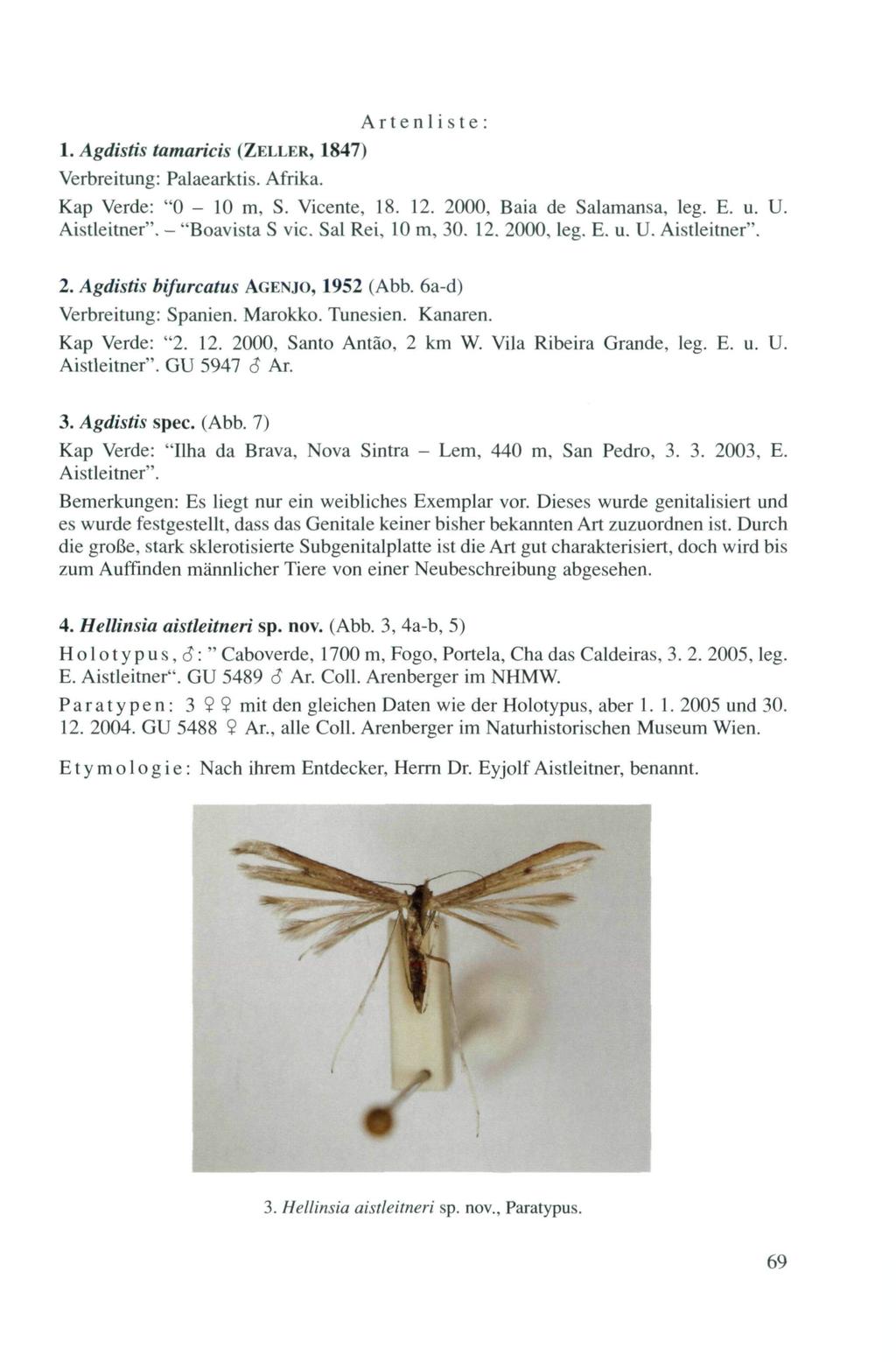 Arten 1 i s te : 1. Agdistis tamaricis (ZFXLER, 1847) Verbreitung: Palaearktis. Afrika. Kap Verde: "0-10 m, S. Vicente, 18. 12. 2000, Baia de Salamansa, leg. E. u. U. Aistleitner". - "Boavista S vie.