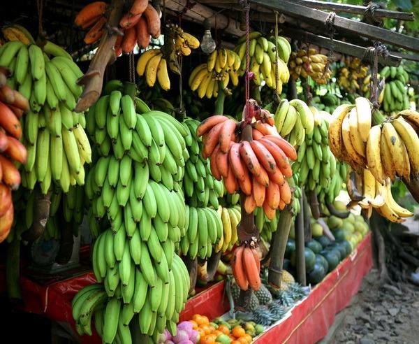 Bananen auf dem Markt in Sri Lanka Termine & Preise 01.05.18-31.10.18 * 2.830,- 01.11.18-30.04.19 * 3.030,- 01.05.19-31.10.19 * 2.