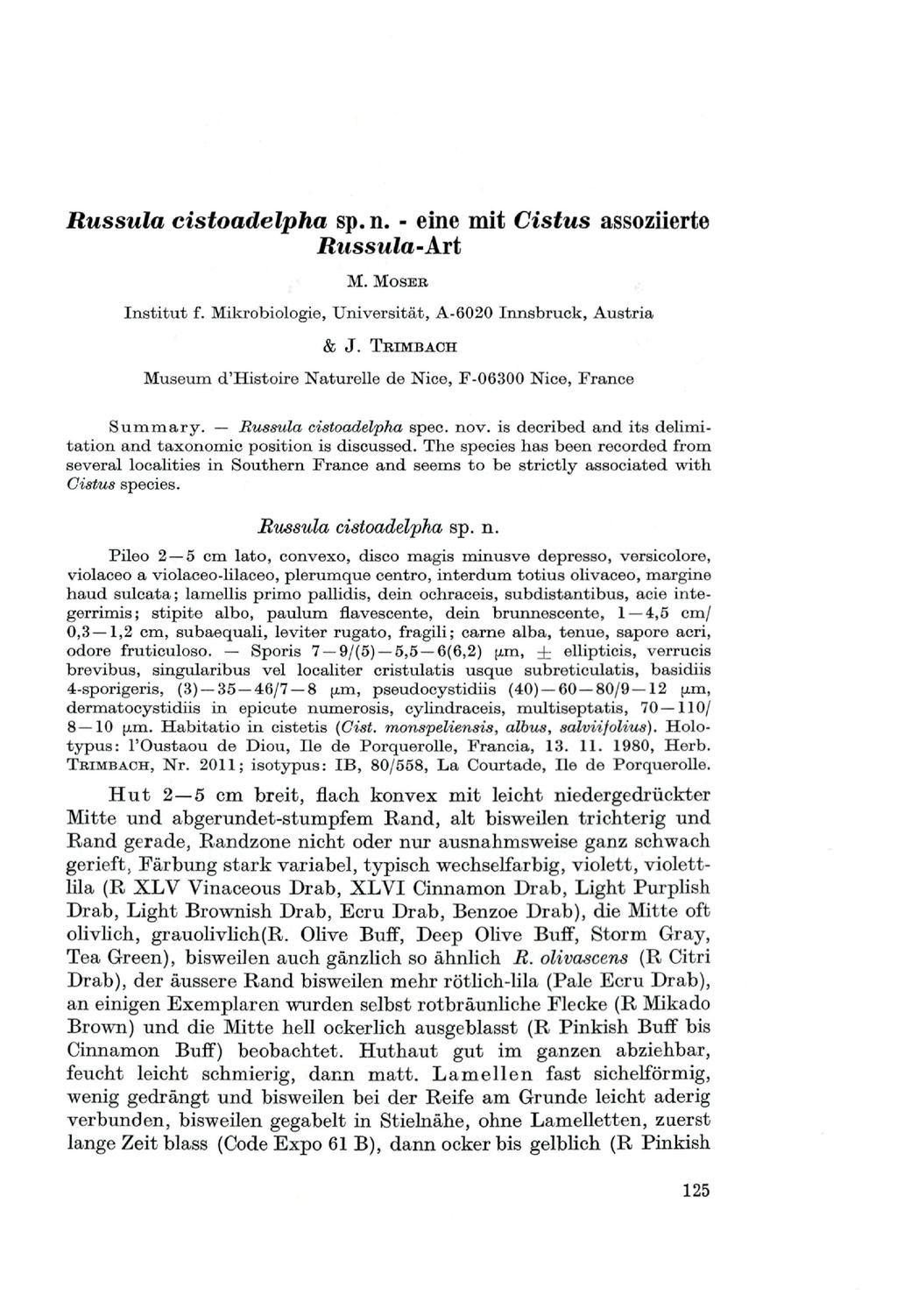 Russula cistoadelpha sp.n. - eine mit Cistus assoziierte Russula- Art M. MOSEB Institut f. Mikrobiologie, Universität, A-6020 Innsbruck, Austria & J.