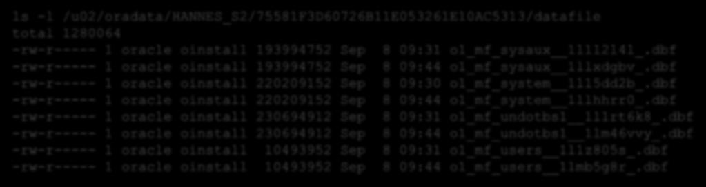 Standby Datenbank Verzeichnis ls -l /u02/oradata/hannes_s2/75581f3d60726b11e053261e10ac5313/datafile total 1280064 -rw-r----- 1 oracle oinstall 193994752 Sep 8 09:31 o1_mf_sysaux 1l1l2l4l_.