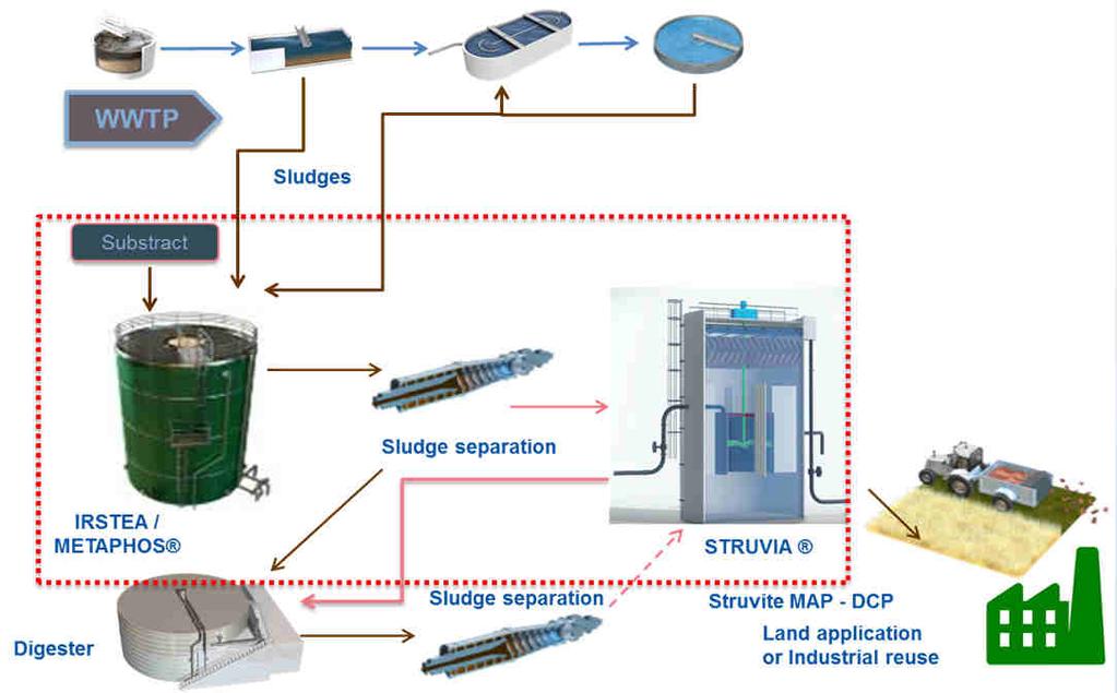 Biological phosphorus dissolution before P precipitation from sludge liquor Improved STRUVIA process Demonstrator Location: Lille, France Commissioning: May 2018 Input material: biological