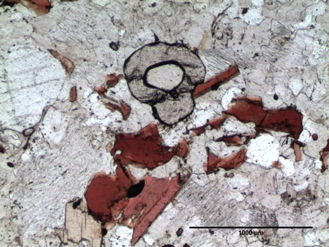 Petrographische Beschreibung 37 Probe: SW09L01 HG: Quarz, perthitischer Kalifeldspat, Biotit, Granat, NG: Sillimanit, Kyanit Akz.