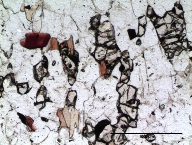 Petrographische Beschreibung 41 Typ Dunkel (TD): Dieser Granulit-Typ besitzt eine dunkelgraue Farbe und eine Bänderung, die durch hohen Biotitanteil gekennzeichnet ist.