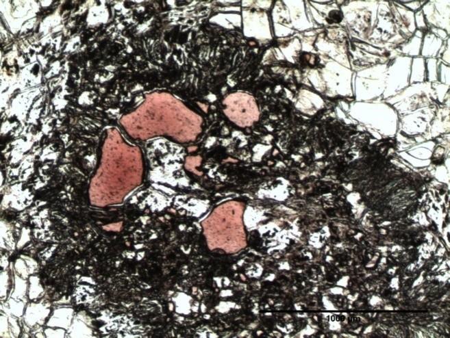 Als Relikte treten Olivin (Abbildung 19), Spinell (Abbildung 20), Pyroxen und Granat mit kelyphitischem Rand auf.