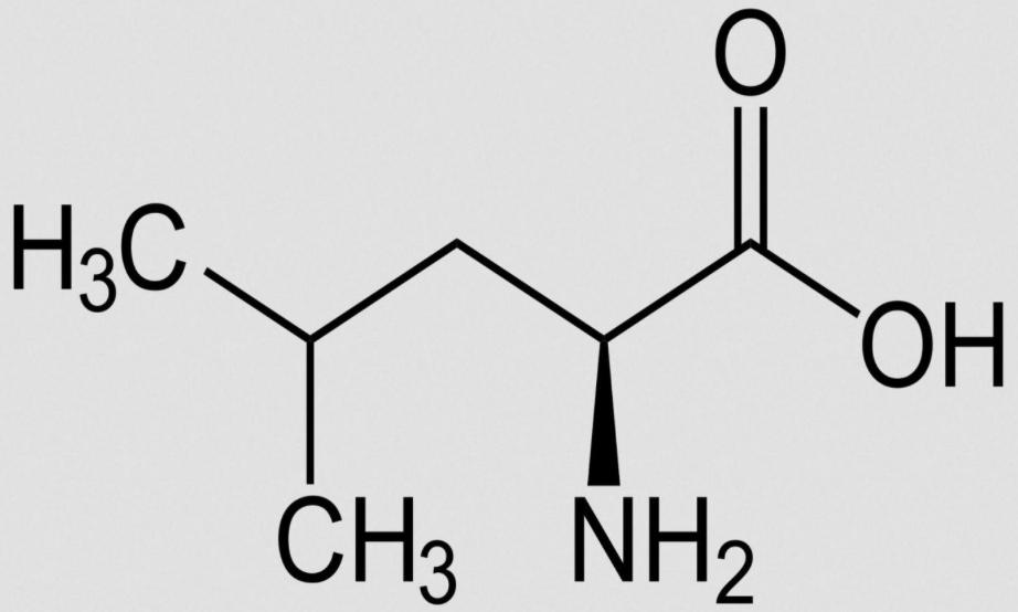 U. Helmich, Intensivkurs "Proteine" Seite 2 1. Der Aufbau einer Aminosäure Aminosäuren sind mit der Essigsäure verwandt.