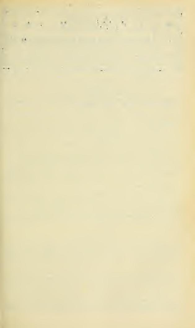 4» 4» 4» MITTEILUNGEN '^^ ^^ ^^ der Münchner Entomologisolien Gesellschaft, e. V. H 3. Jahrgang 1912. München, Juli u. August. Nummer 7 u. 8. > Ausgegeben am 20. August 1912. (Nachdruck verboten.