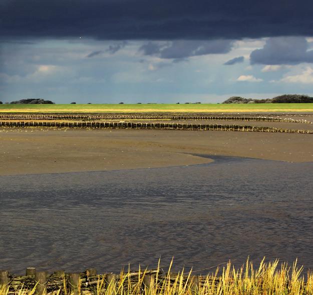7 Weltnaturerbe Wattenmeer Der größte Erfolg in der 40-jährigen trilateralen Zusammen - arbeit ist die Einschreibung des deutsch-niederländischdänischen Wattenmeeres in die UNESCO-Welterbeliste.