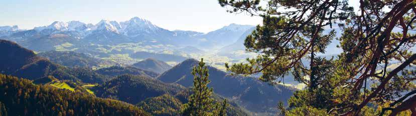 Die Gesamtfläche der Bundesforste umfasst nahezu jeden zehnten Quadratmeter Österreichs Wälder, Wiesen, Berge und Seen, Flüsse, Gletscher, Auen und Moore.