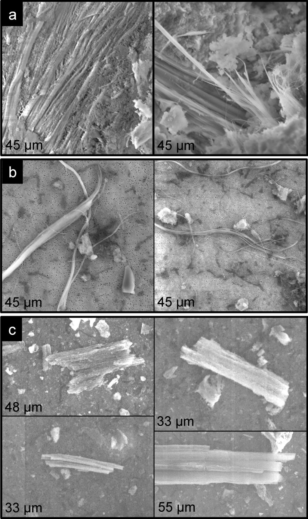 Rasterelektronenmikroskopische Aufnahmen von Asbestzement (Bildbreite jeweils angegeben).