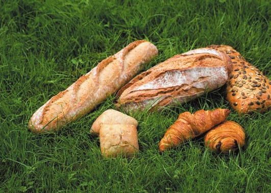Diesem Wunsch nach Nachhaltigkeit begegnet BRIDOR mit einem speziell entwickelten Brot- und Feingebäck-Sortiment