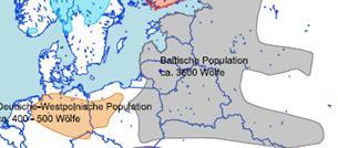II.1. Mitteleuropäische Flachlandpopulation - Prof. S.