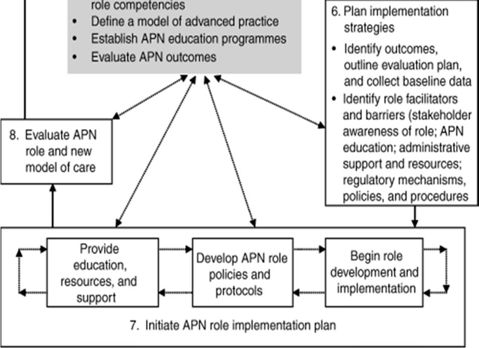 (APN) Role Development, Implementation, and Evaluation