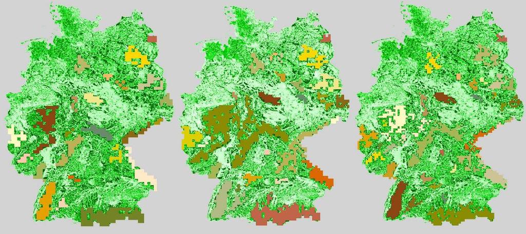 Habitatmodellierung basiert auf einer Extrapolation eines auf polnischen Daten beruhendes Modells geschätztes Potential für Deutschland ca.