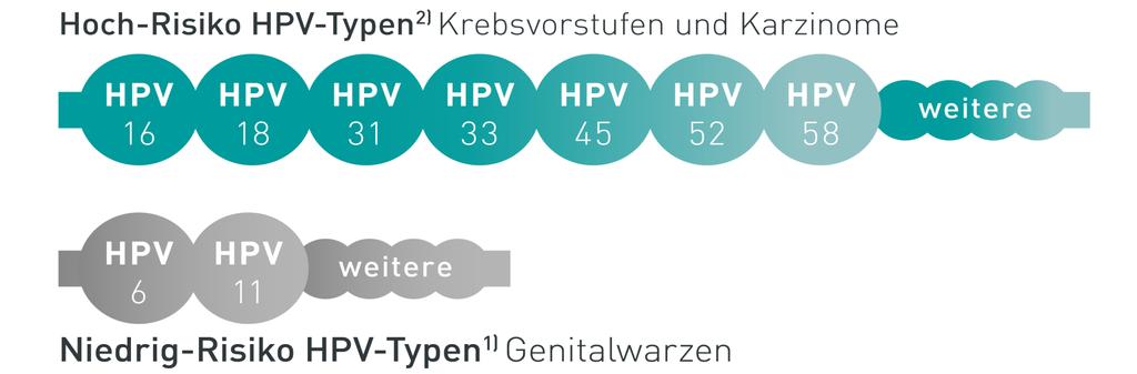 Medizinische Grundlagen der HPV-Impfung > 150 Typen humaner Papillomviren (HPV) 1) Schleimhaut-infizierende HPV-Typen lassen sich abhängig vom karzinogenen Potential in Hoch- und Niedrig-Risiko
