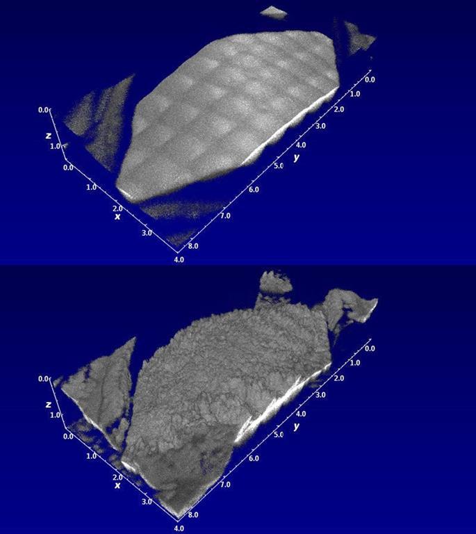 Online in-situ Quantifizierung von Scaling mit OCT 0 Tage in-situ Visualisierung der Deckschicht (3D Aufnahmen) mittels der optischen Kohärenztomographie