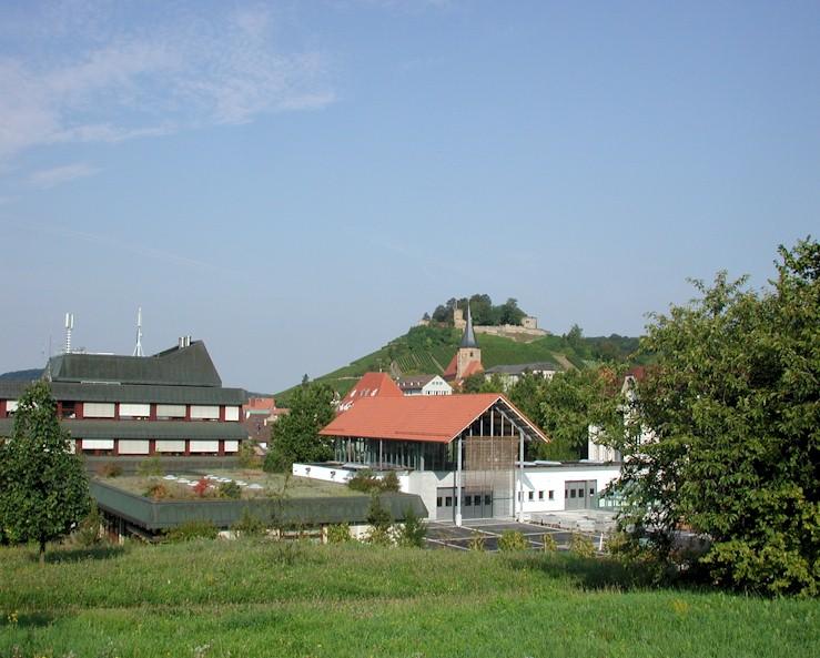 Historische Daten zum Auftreten von Krankheiten und Schädlingen in Weinsberg und die auffälligsten Beziehungen zu