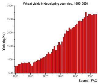 Zuwachs der Agrarproduktion stagniert Weizen (Entwicklungsländer) Mais (Frankreich) Quelle: