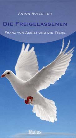 90 ISBN 978-3-7228-0601-3 Christian Schmid Gallusland Auf den Spuren des