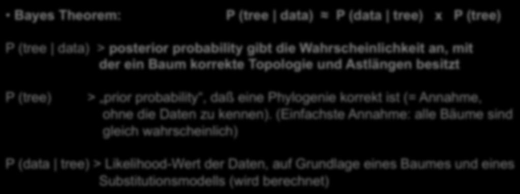 Bayes und Bäume Bayes Theorem: P (tree data) P (data tree) x P (tree) P (tree data) > posterior probability gibt die Wahrscheinlichkeit an, mit der ein Baum korrekte Topologie und Astlängen besitzt P