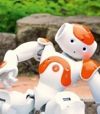 Was lernt der Roboter von Mensch und Tier?
