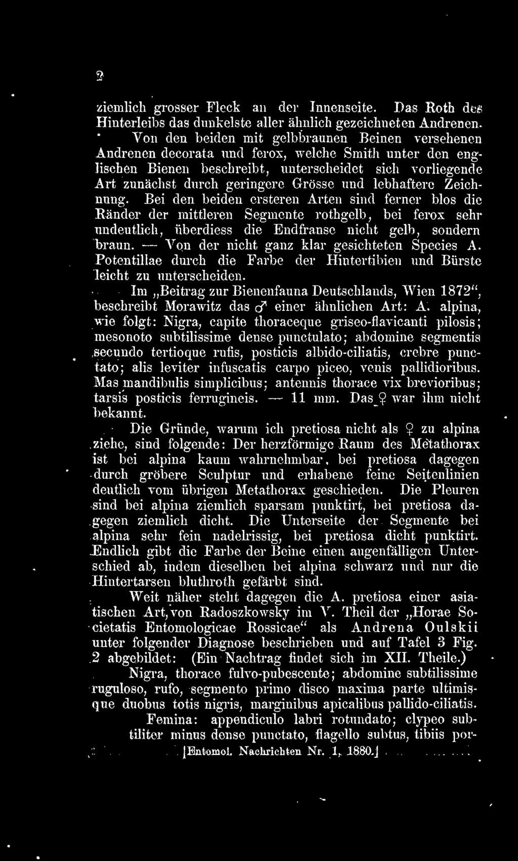 Im Beitrag zur Bienenfauna Deutschlands, Wien 1872", beschreibt Morawitz das ct einer ähnlichen Art: A.