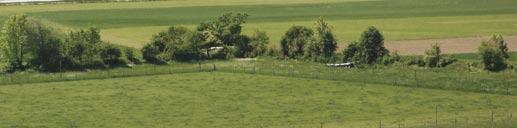 Der Pufferstreifen entlang der Gehölze bildet einen wertvollen Übergang zur landwirtschaftlich genutzten Fläche.