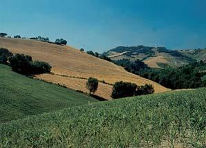 Landschaft des Conca- Talgebiets rechts Die Grotten von Onferno (Gemmano) DETAILS Geografisch befinden wir uns im letzten Zipfel der padanischen Ebene, im Süden der Romagna.