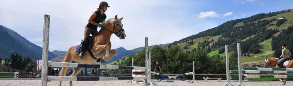 das Pferd selbstständig lenken In der Theorie alles über Cavaletti und Springen wissen Die treibenden Hilfen, Gewichtshilfen und Zügelhilfen erlernen An der Longe alles über den Galopp und den
