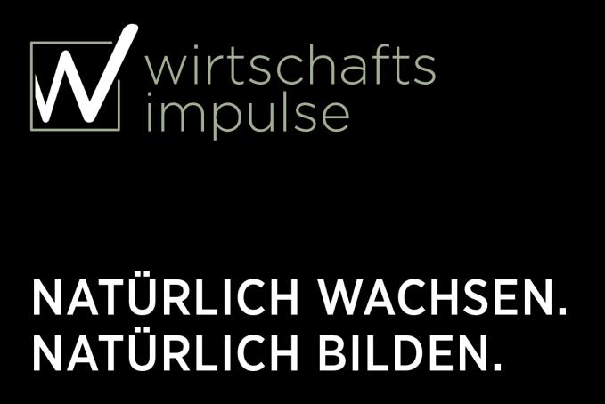 WIRTSCHAFTSIMPULSE Bildungs-GmbH Figulystraße 38, 4020 Linz Tel. +43 (0) 732 66 04 66-0 office@wirtschaftsimpulse.