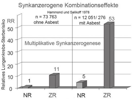 Abb. 12: Synkanzerogenese, Prof. Woitowitz den Expositionen gegenüber mehreren beruflich einwirkenden Noxen zu berücksichtigen.