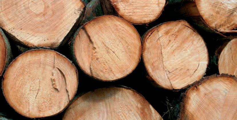 DAS NATURMATERIAL HOLZ Ein zu Recht beliebter Werkstoff Die Lebendigkeit des Baustoffes Holz Der Mensch fühlt sich in der Um - gebung dieses Materials sehr wohl.