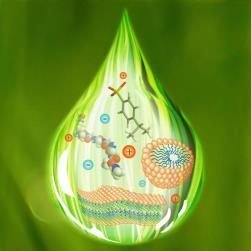 Solvents Green Ionic Liquids