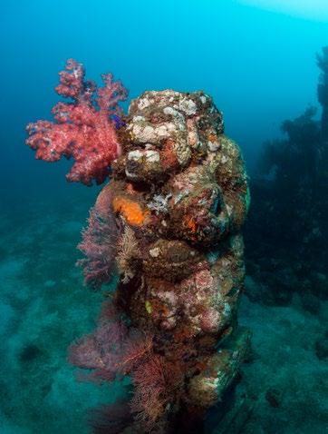 BALI REISE 49 Extra Divers Gawana-Bali Die Tauchbasis liegt in der Menjangan-Bucht beim Naya Gawana Resort & Spa.