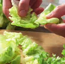 96 8 Wer sich gesund ernähren will braucht gute Rezepte! 8.3 Gemüse und Salat verarbeiten Gemüse und Salat müssen unbedingt gewaschen werden. Verwende dazu immer kaltes Wasser.