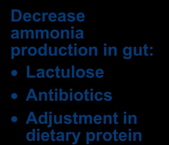 ammonia production in gut: